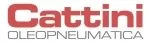 CATTINI