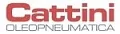 CATTINI